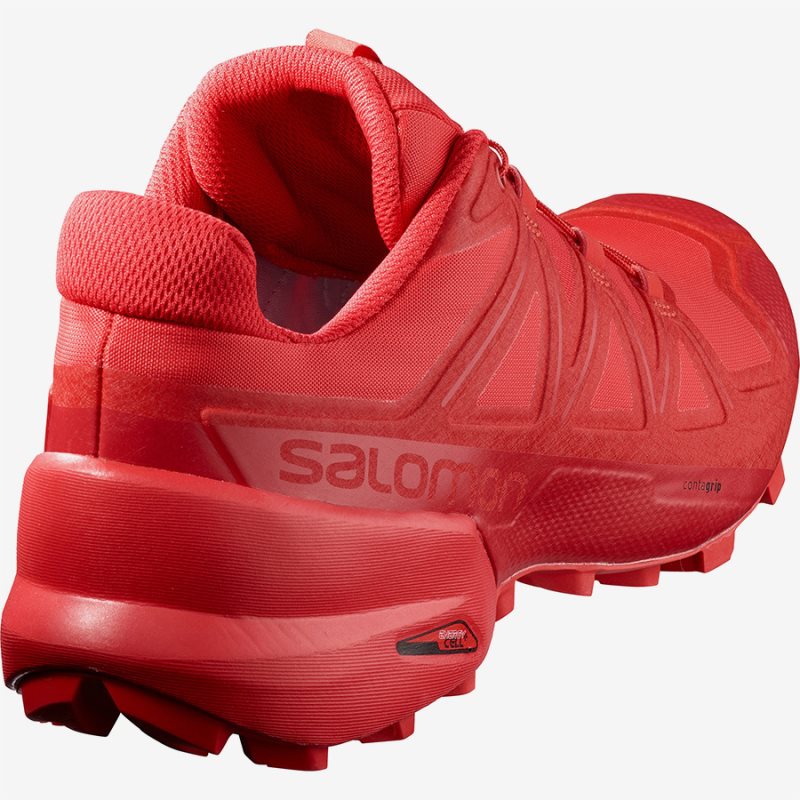 Salomon 2024 trail soldes